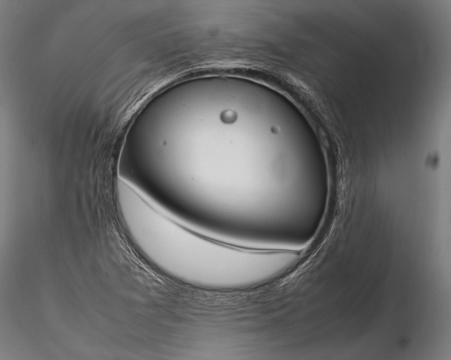 X0000116291361200912141302