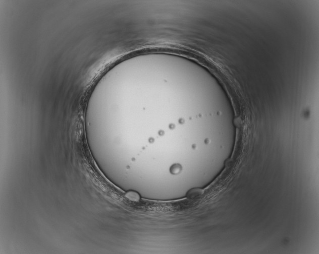 X0000116291363200912141302