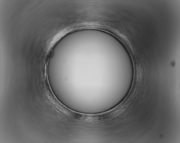 X0000116291365200912141301