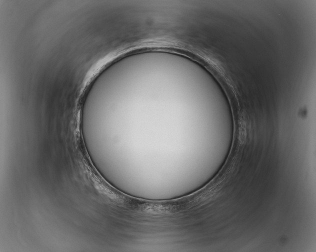 X0000116291366200912141301