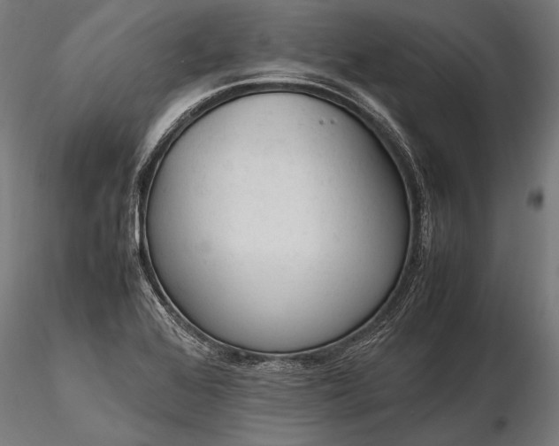 X0000116291368200912141301