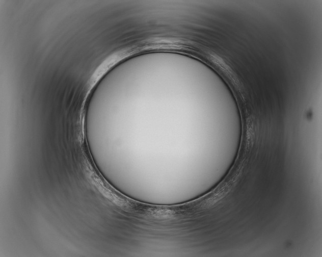 X0000116291370200912141301