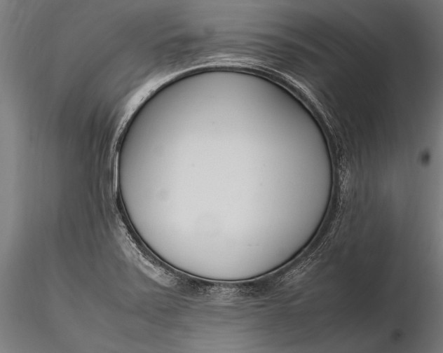 X0000116291371200912141301