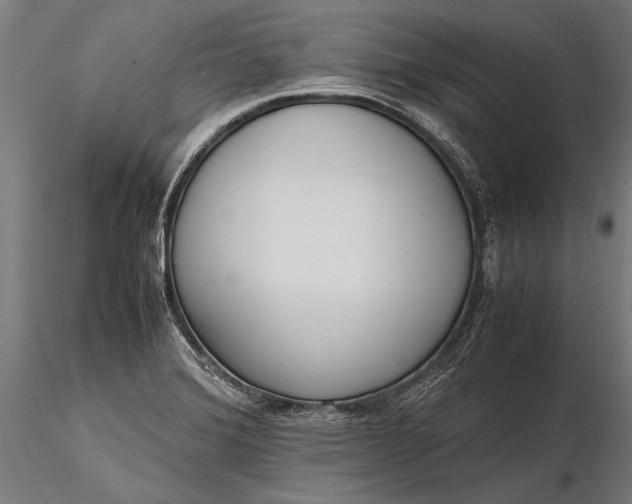 X0000116291372200912141301