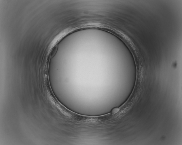 X0000116291373200912141301