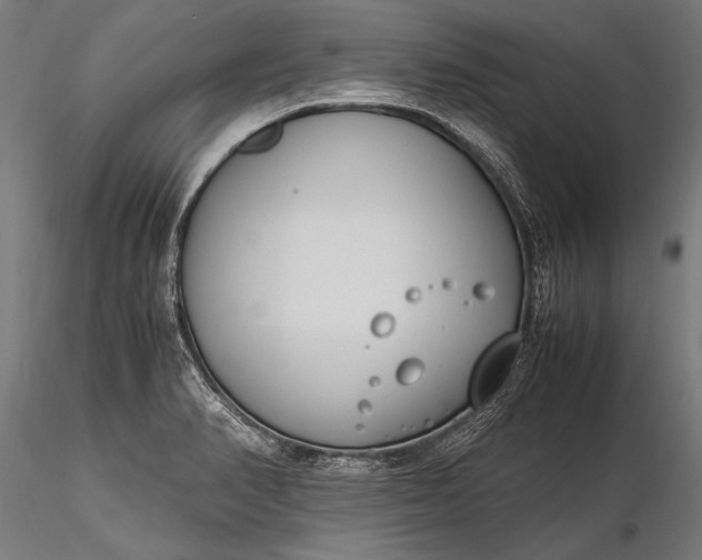 X0000116291374200912141301