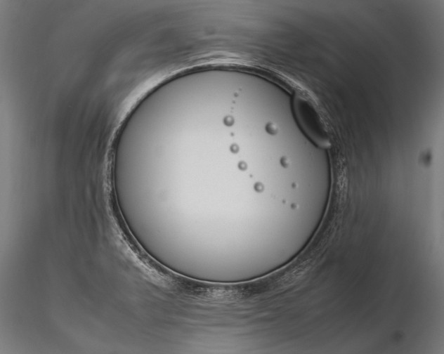 X0000116291375200912141301