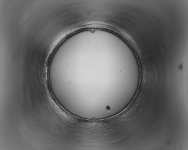 X0000116291376200912141301