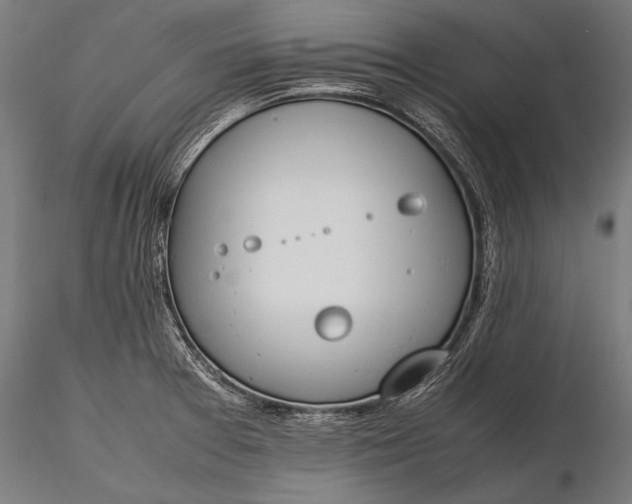 X0000116291377200912141301