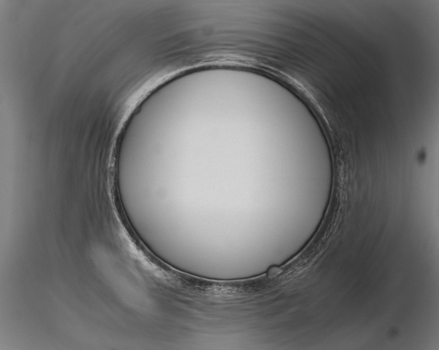 X0000116291379200912141301