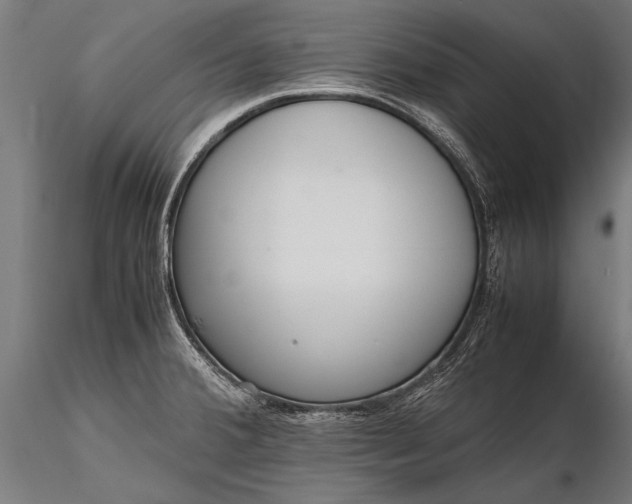 X0000116291380200912141301