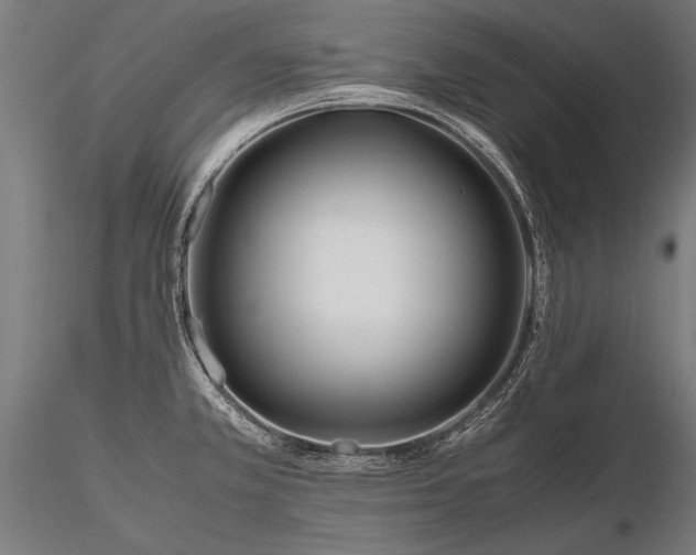 X0000116291381200912141301