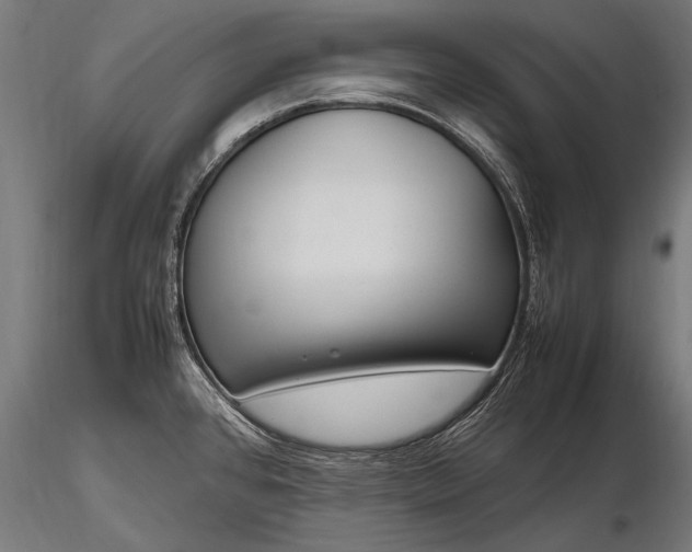 X0000116291384200912141301