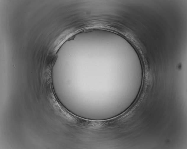 X0000116291385200912141301