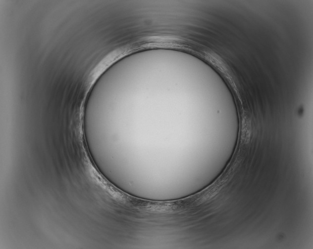 X0000116291386200912141301