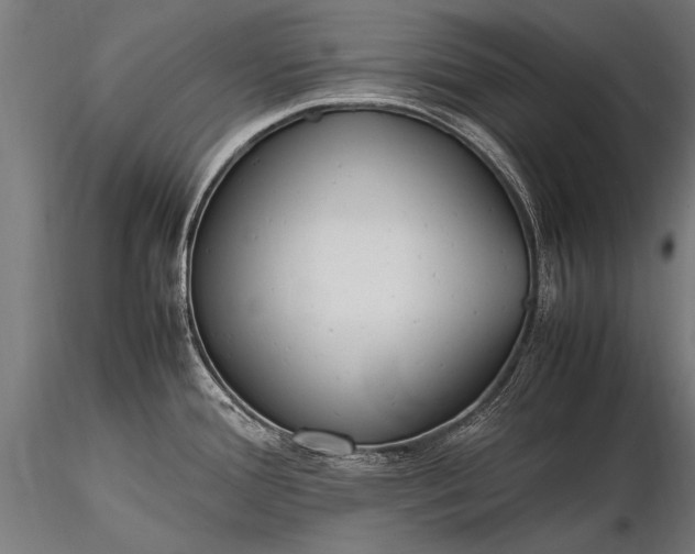 X0000116291388200912141301