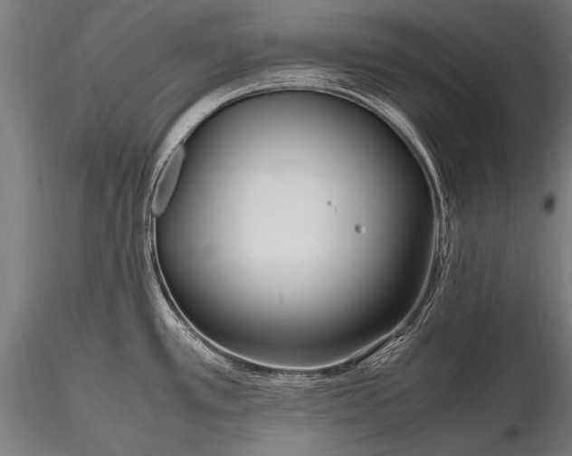 X0000116291389200912141301