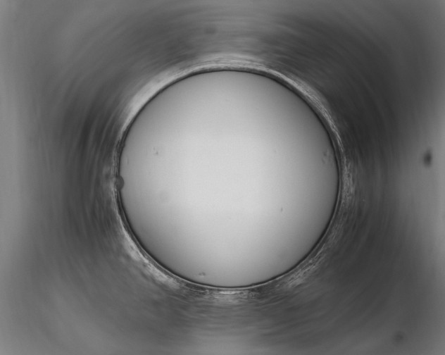 X0000116291390200912141301