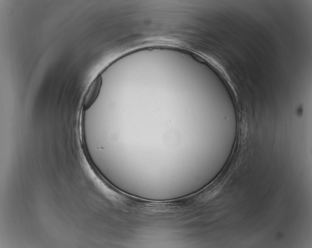 X0000116291391200912141301