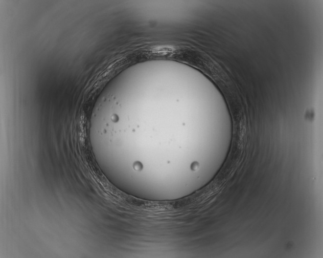 X0000116291394200912141300