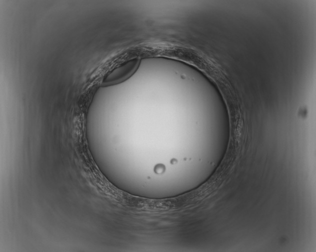 X0000116291397200912141301