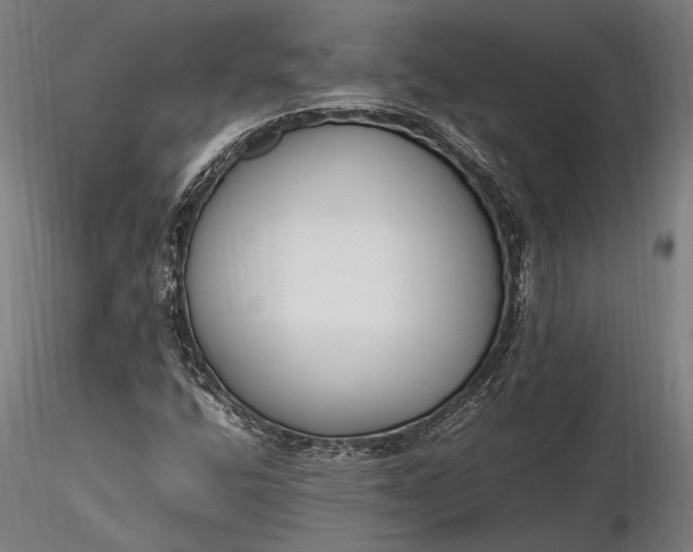 X0000116291400200912141301