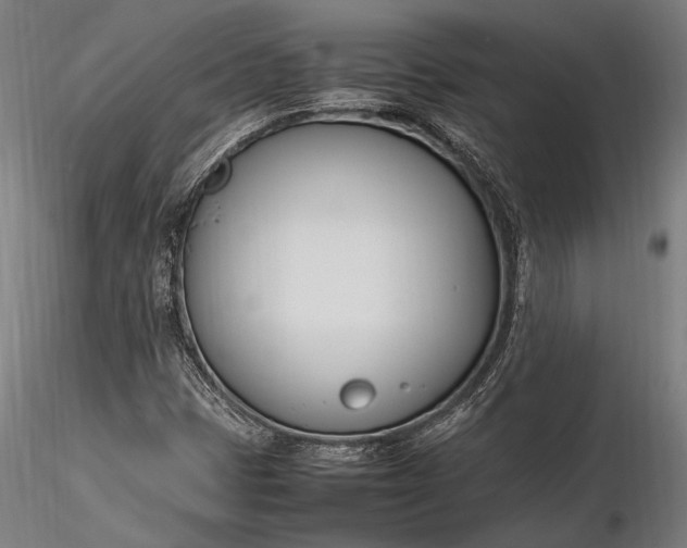 X0000116291401200912141301