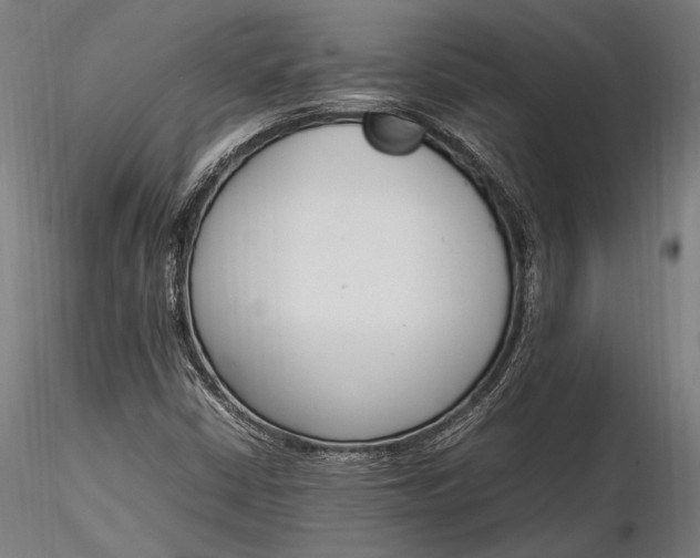 X0000116291402200912141301