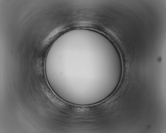 X0000116291403200912141301