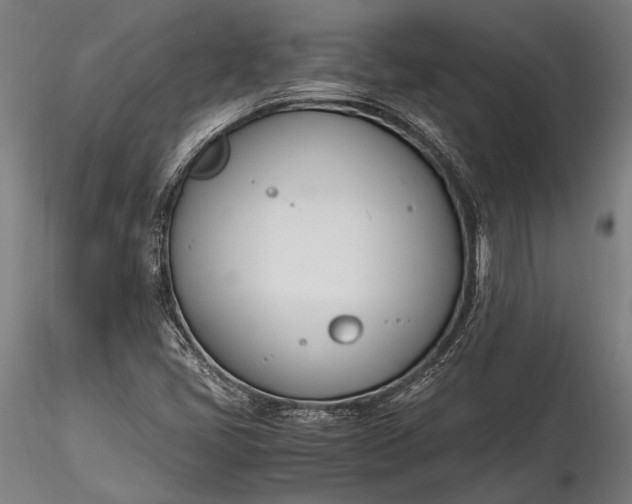 X0000116291405200912141301