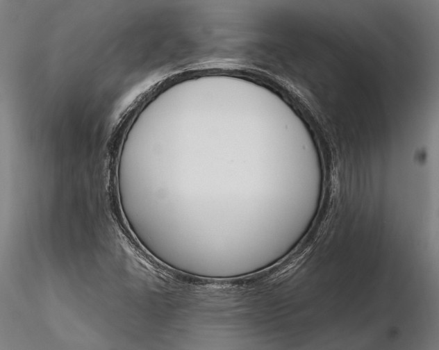 X0000116291406200912141301