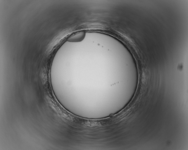 X0000116291407200912141301