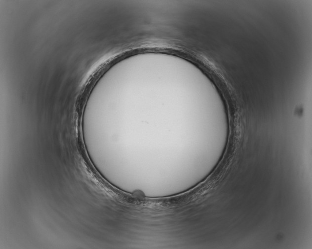 X0000116291408200912141301