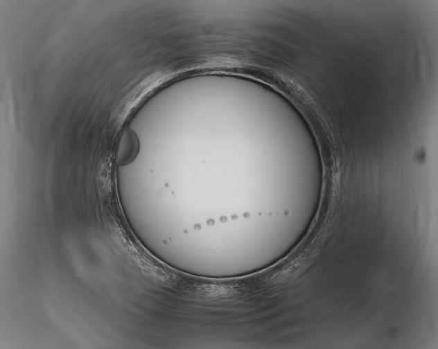 X0000116291409200912141301