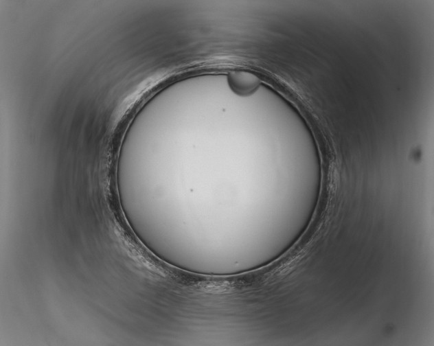 X0000116291410200912141301