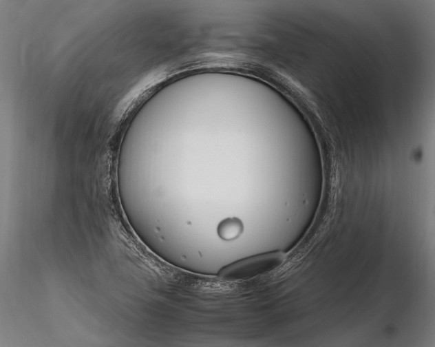 X0000116291411200912141301