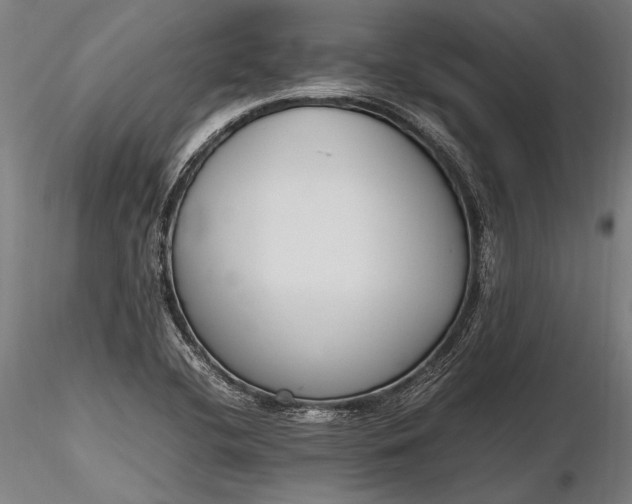 X0000116291412200912141301