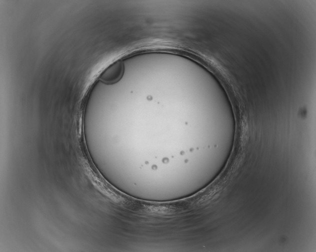 X0000116291413200912141301