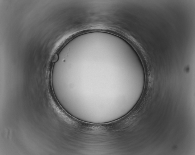 X0000116291416200912141301