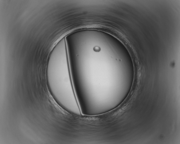 X0000116291417200912141301