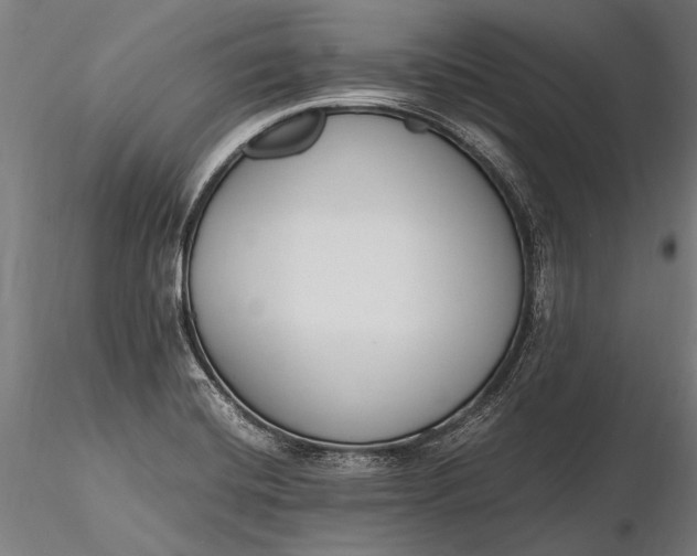 X0000116291420200912141301