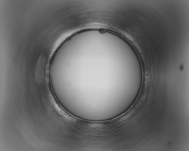 X0000116291421200912141301