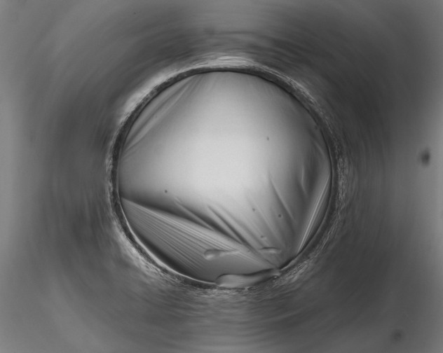 X0000116291422200912141301