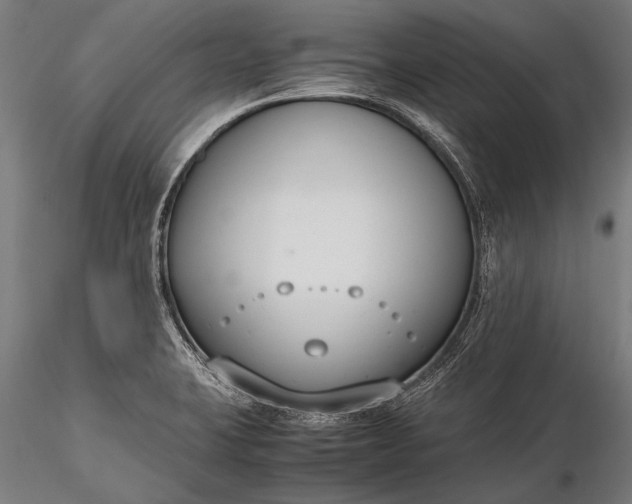 X0000116291423200912141301