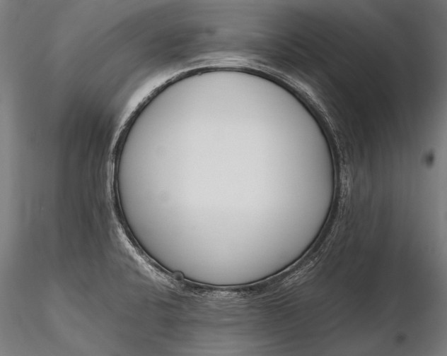 X0000116291424200912141301