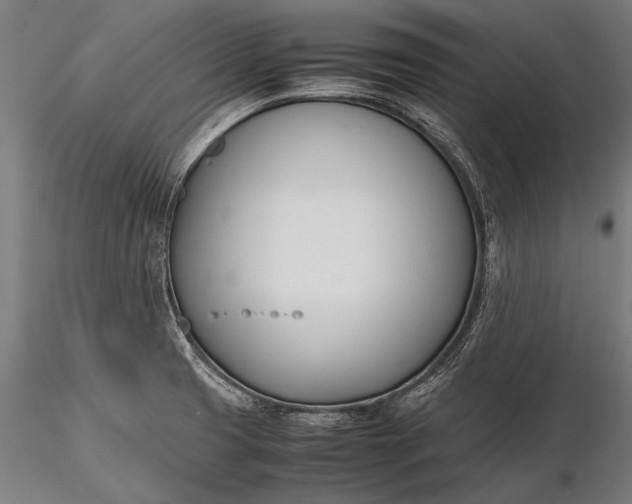 X0000116291425200912141301