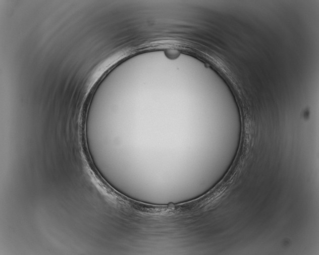 X0000116291426200912141301