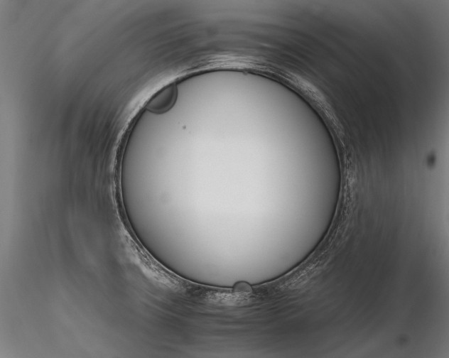 X0000116291427200912141301