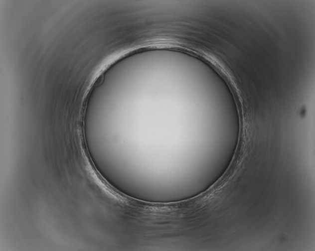 X0000116291429200912141301