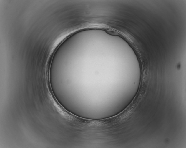 X0000116291430200912141301